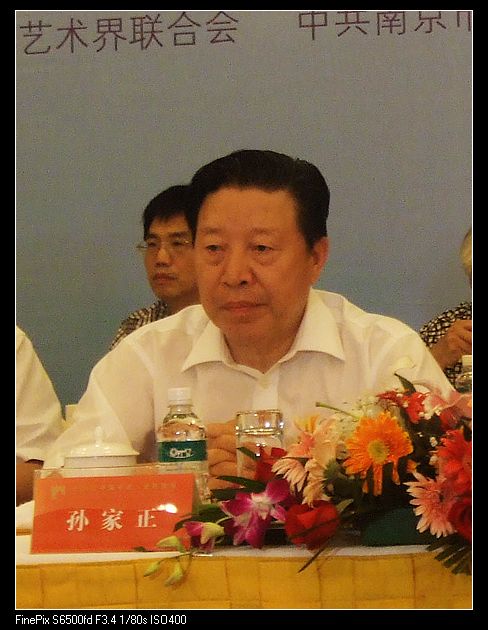 孙家正出席论坛