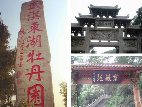 徭굮7վ